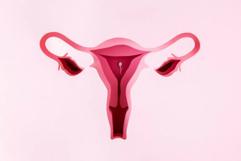 Different Types of Fibroids in Uterus: Understanding Your Condition